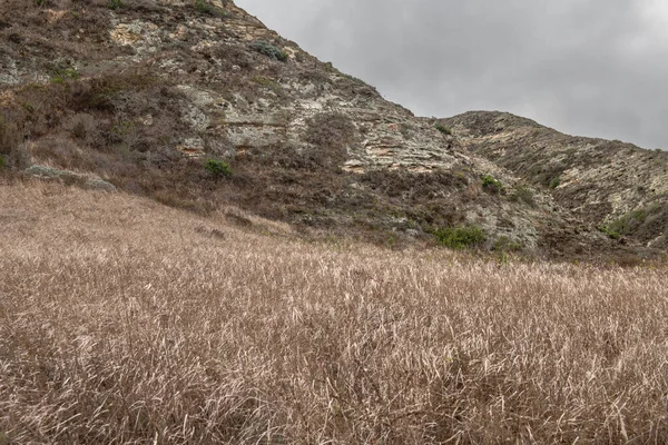 Скучный Образ Засушливой Части Острова Санта Роза Берегов Калифорнии Показывающий — стоковое фото