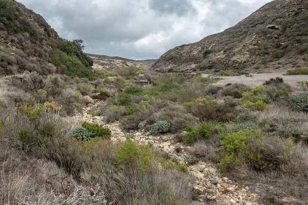 Vista Lecho Río Seco Mientras Caminaba Isla Santa Rosa California — Foto de Stock