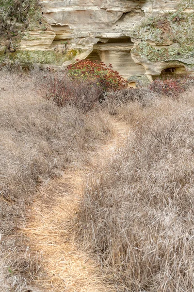 一条远足的小径通向美丽的砂岩地层 四周环绕着植物和青草 — 图库照片