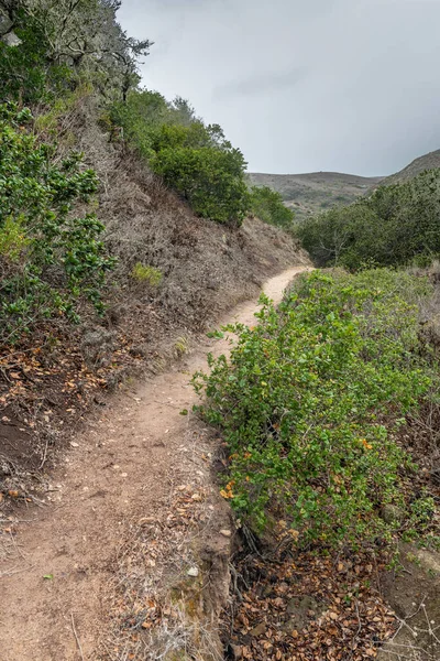 在圣罗莎岛上 徒步旅行者用来进入内陆和偏远地区的一条土路 — 图库照片