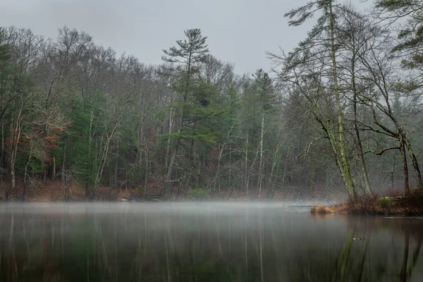 カンバーランド州立公園テネシー州のバードクリークのセクション上の霧は 寒い雨の日に形成され 自然のシーンのための美しい設定を提供します ストックフォト