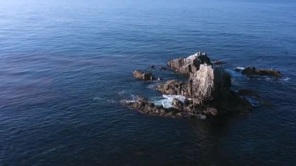 Laguna Sahili Ndeki Seal Rocks Tüple Dalış Için Ünlü Yerlerden — Stok video