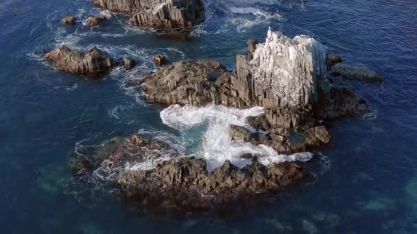 Seal Rocks Laguna Beach California One More Famous Locations Scuba — стоковое видео