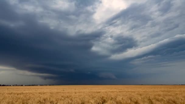龙卷风前的一个中等气旋天气超级电池 在倾盆大雨和爆裂的闪电照亮地平线的同时 掠过大平原 — 图库视频影像