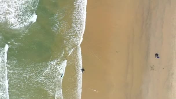 Кадри Серфінгу Гуляють Берегами Пляжу Хантінгтон Каліфорнія Чекають Прибій — стокове відео