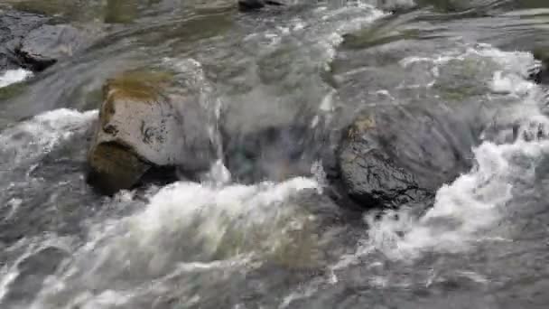 Água Que Flui Através Rio Rochoso Cumberland Mountain Tennessee Mostra — Vídeo de Stock