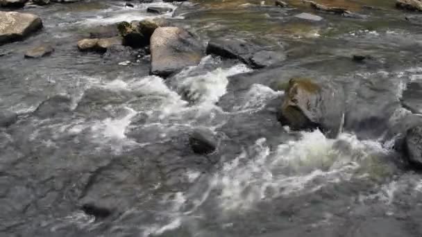 Cumberland Dağı Ndaki Kayalık Bir Nehirden Akan Tennessee Vahşi Doğada — Stok video