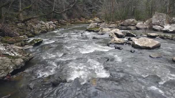 Água Que Flui Através Rio Rochoso Cumberland Mountain Tennessee Mostra — Vídeo de Stock