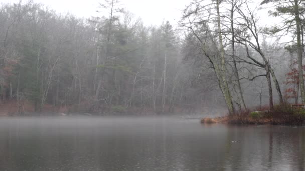 Danau Byrd Creek Cumberland Mountain Sangat Tenang Saat Tetesan Hujan — Stok Video