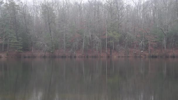 Byrd Creek Lake Cumberland Mountain Very Peacefully Calm Raindrops Bounce — Stock Video