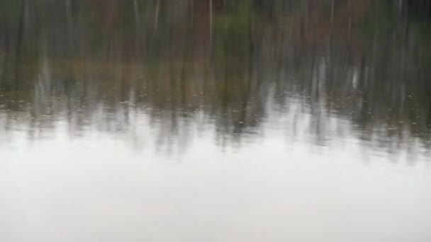 컴벌랜드 크리크 호수는 빗방울 유리같은 표면에 부딪힐 평화롭게 고요하다 — 비디오