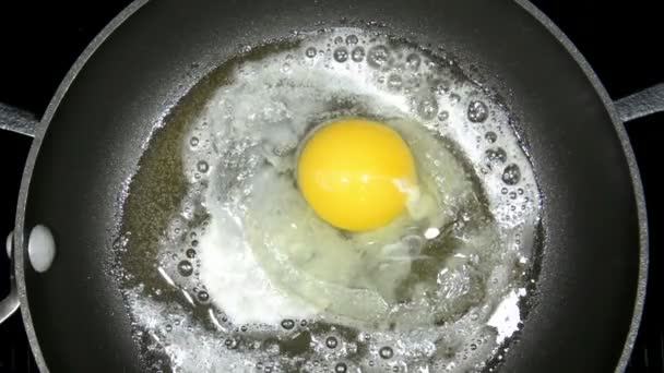 Яйцо Треснуло Раскаленную Сковородку Затем Приготовлено Идеально — стоковое видео