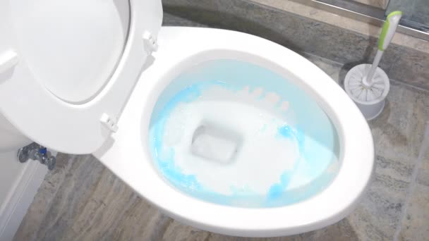 Atendente Limpeza Esfrega Banheiro Limpo Seguida Libera Água Para Terminar — Vídeo de Stock