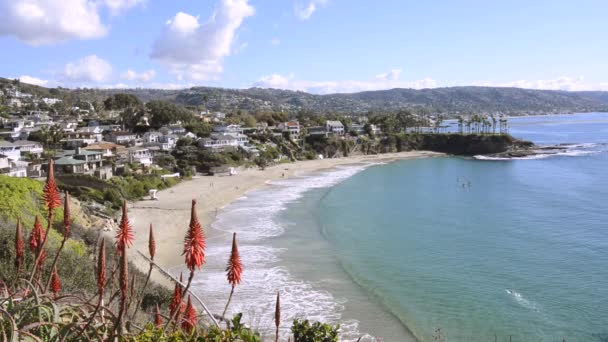 Чудовий Скелястий Краєвид Пляжу Крессент Бей Лагуна Біч Каліфорнія Показує — стокове відео