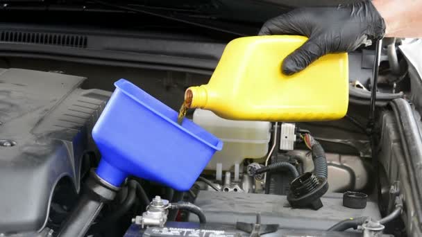 整備士は 定期的な自動車のメンテナンス中に車のエンジンに新鮮なきれいな油を注ぎます — ストック動画