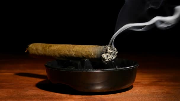 Burning Cigar Classic Black Ashtray Streaming Smoking Dark Moody Setting — Stock Video