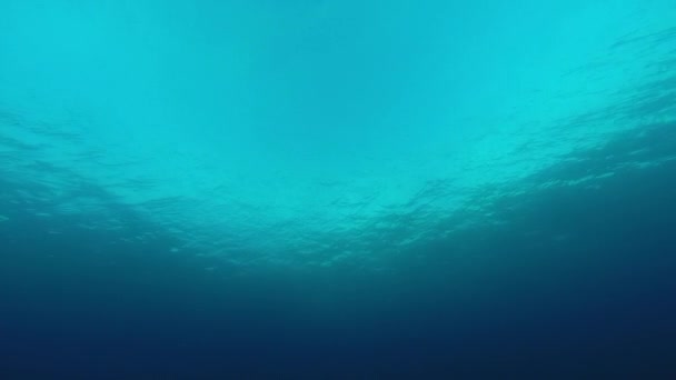 Video Hladinou Oceánu Zespodu Ukazuje Sluneční Světlo Vodu Jak Vlní — Stock video