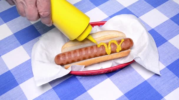 Cliente Agrega Mostaza Ketchup Hot Dog Restaurante Tradicional Que Incluye — Vídeos de Stock