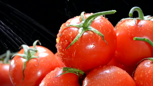 Enquanto Seção Produtos Merceeiro Pulveriza Água Fria Sobre Tomates Vibrantes — Vídeo de Stock