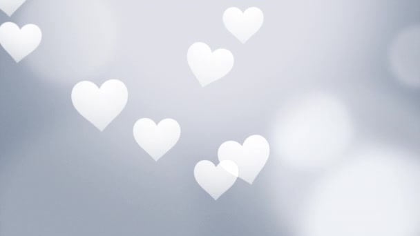Grey Subtle Valentines Video Background Floating White Hearts Can Used — Stock Video