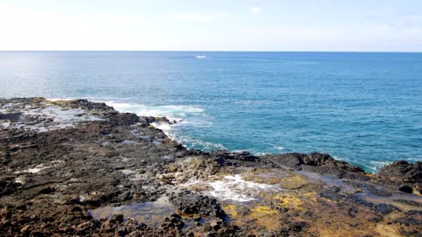 Récif Kauai Hawaï Abrite Trou Soufflage Qui Lorsque Les Houles — Video