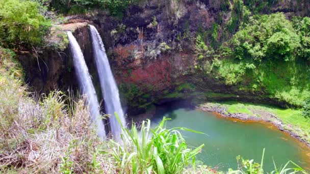 Hawaii Deki Güzel Opaekaa Şelalesi Doğal Bir Havuza Dökülüyor Kauai — Stok video