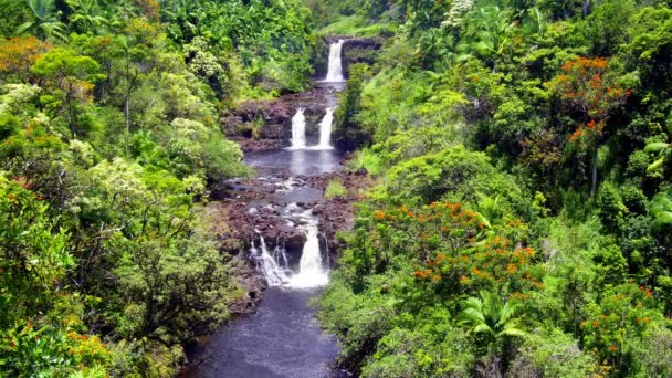 Żywy Obraz Umauma Spada Hawajach Pokazuje Trzy Warstwy Kaskady Piękny — Wideo stockowe