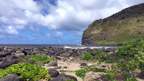 Een Rotsachtige Kustlijn Hawaï Benadrukt Weelderige Natuur Van Eilanden Deels — Stockvideo