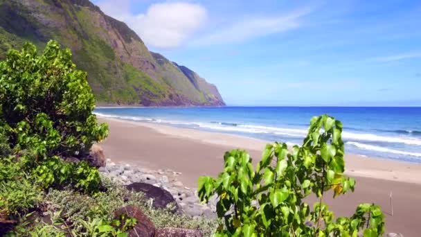 Zicht Een Hawaiiaans Tropisch Strand Vanaf Omslag Van Levendig Groen — Stockvideo