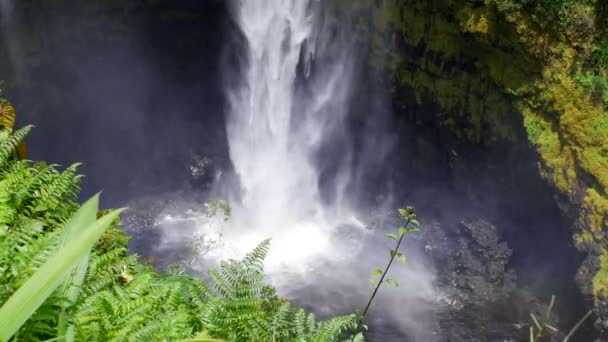 Čnící Vodopádů Akaka Hilu Hawaii Kaskády 400 Metrů Přírodního Jezírka — Stock video