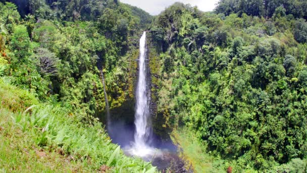 Čnící Vodopádů Akaka Hilu Hawaii Kaskády 400 Metrů Přírodního Jezírka — Stock video