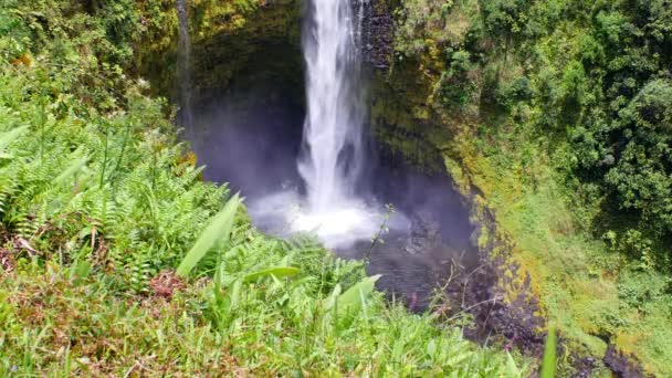Ein Hoch Aufragendes Akaka Fällt Hilo Hawaii Kaskaden 400 Feet — Stockvideo