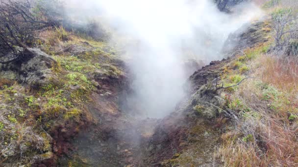 Naturliga Ånga Stiger Från Vulkaniska Steam Ventilerna Jorden Volcano National — Stockvideo