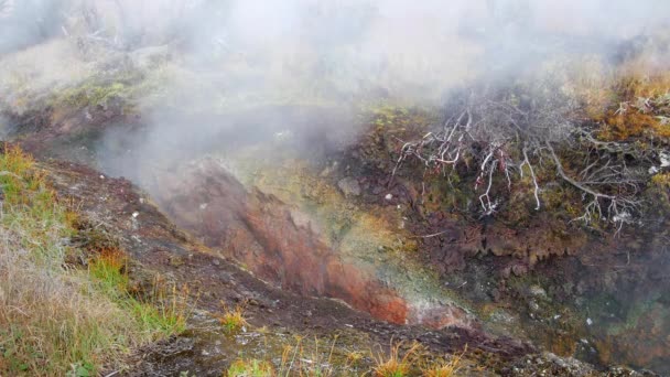 Vapeur Naturelle Provenant Des Évents Vapeur Volcanique Dans Terre Parc — Video
