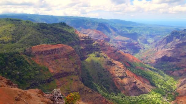Overlook Waimea Canyon Partly Cloudy Day Shows Colorful Textured Patterns — Stock Video