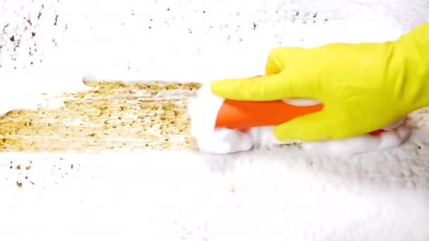 Een Huisreiniger Reinigt Tapijt Met Een Schuimreiniger Beschermende Handschoen Handborstel — Stockvideo