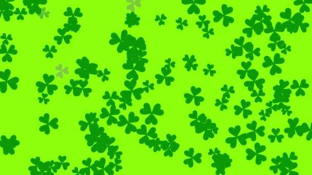 Patrick Animated Clovers Bright Green Background Use General Backdrop Design — Stock Video