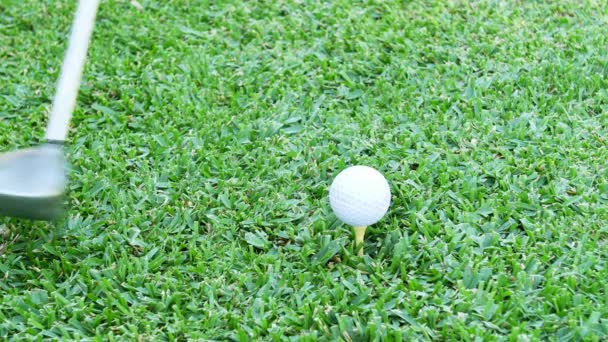 ゴルファーはゴルフボールに彼のドライバーを整列させ その後 緑にそれを打つためにスイングを取ります — ストック動画