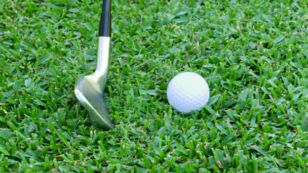 ゴルファーはそれから穴にそれを打つために振動を取るゴルフボールに彼のパターを整列させる — ストック動画
