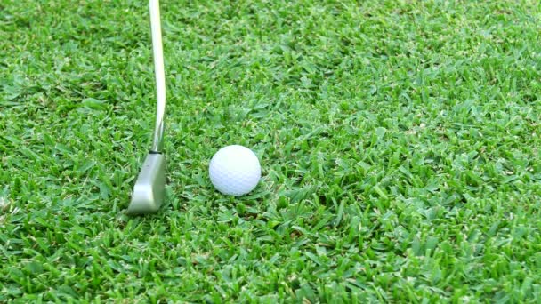 Golfer Aligns His Putter Golf Ball Takes Swing Hit Hole — Vídeo de stock