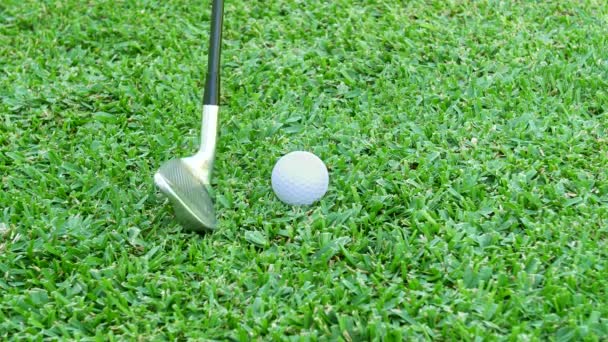 Golfer Aligns His Seven Iron Golf Ball Takes Swing Hit — Vídeo de Stock