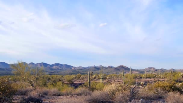 Pan Van Hete Droge Woestijn Landschap Arizona Tonen Het Dorre — Stockvideo