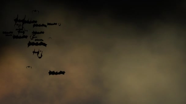 Canlandırılmış Yarasaların Ürkütücü Gökyüzünde Uçtuğu Cadılar Bayramı Ayini Kopyanın Yerleştirilmesi — Stok video