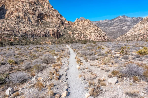 Szlaki Turystyczne Znajdują Się Całym Red Rock Canyon Las Vegas — Zdjęcie stockowe