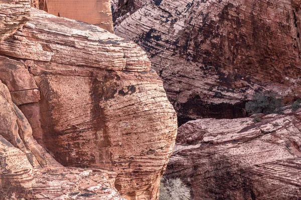 Piękna Sucha Wytrzymała Górzysta Scena Pustyni Red Rock Canyon Las — Zdjęcie stockowe