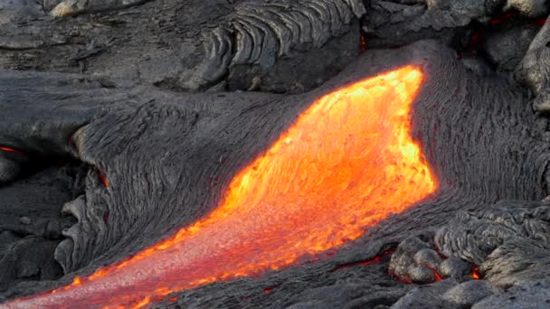 Powierzchnia Lawy Wypływa Zakamarków Zaschniętej Lawy Podczas Erupcji Wulkanu Kilauea — Wideo stockowe