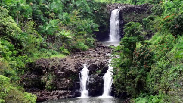 Una Vibrante Imagen Las Cataratas Umauma Hawaii Muestra Cascada Tres — Vídeo de stock