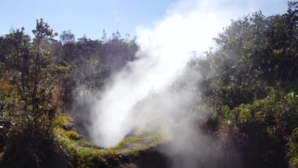 天然蒸气升腾在地球在火山国家公园 夏威夷基拉韦厄火山蒸汽口 — 图库视频影像