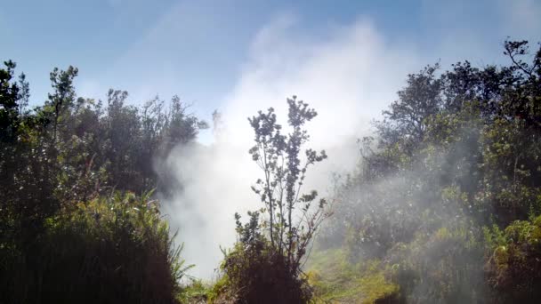 Natuurlijke Stoom Stijgen Van Een Vulkanische Stoom Opening Aarde Volcano — Stockvideo