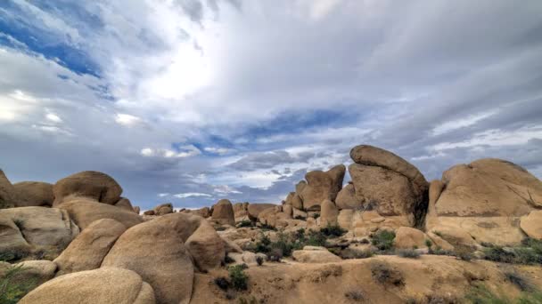 Time Lapse Nubi Tempesta Muovono Attraverso Deserto Del Mojave Joshua — Video Stock